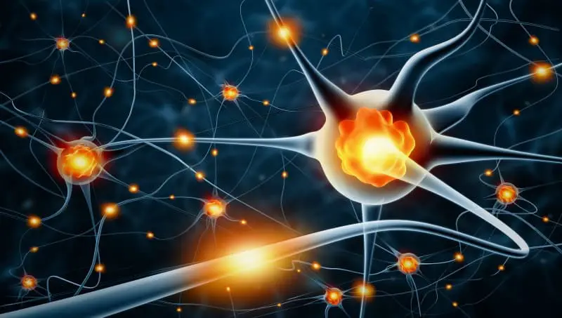 EMF Modifications to Human Cells